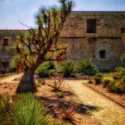 botanical garden-oaxaca