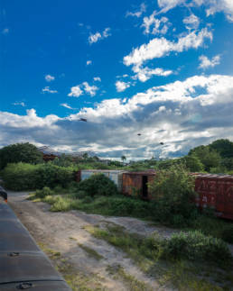 trenes-al-parque-la-plancha-1